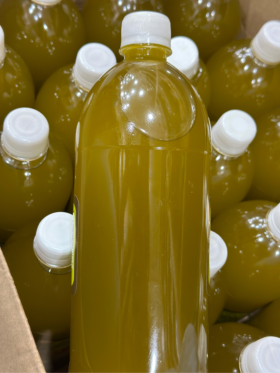 Huile d olive nouvelle pression زيت الزيتون العصرة الجديدة | DARLWARD