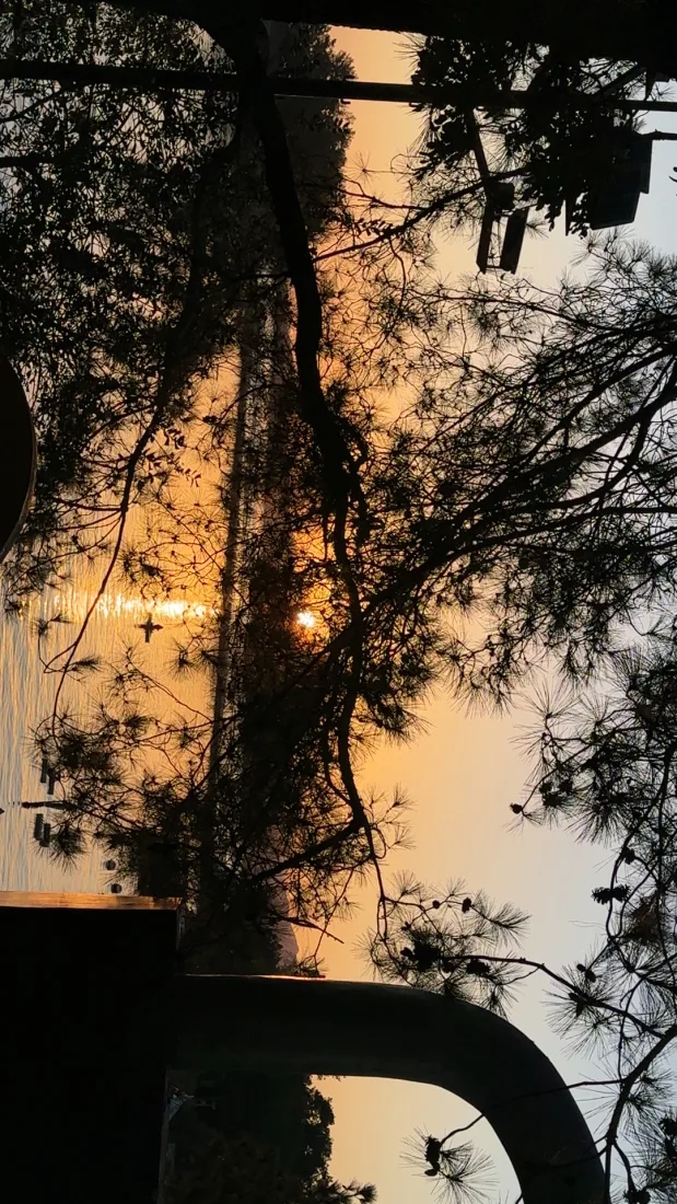 tedt | 小米辣全系列