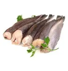 Whiting Fish/Hake | Premium Source