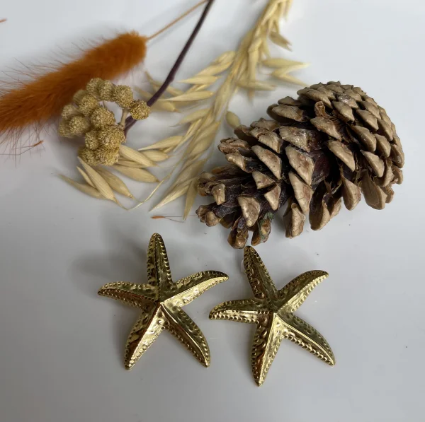 Boucles d oreilles étoile de mer | WOMANITY FWI