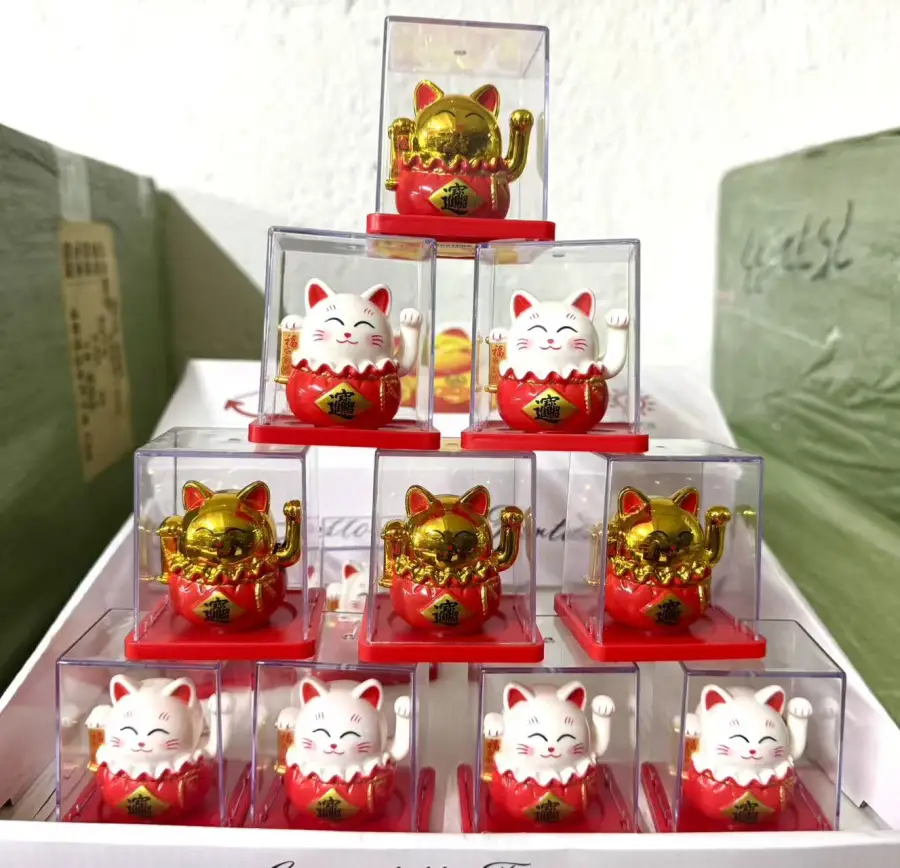 10604680320021 | Miss moda fashion miss moda fashion 