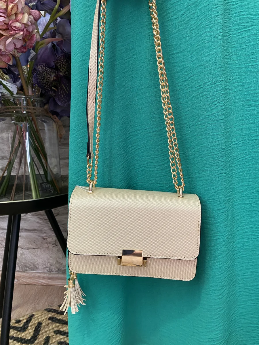 Sac  | Jus de coco 