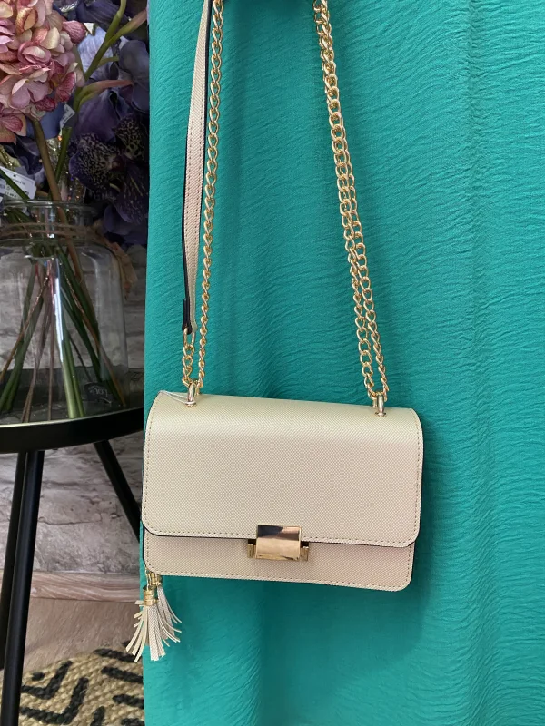 Sac  | Jus de coco 