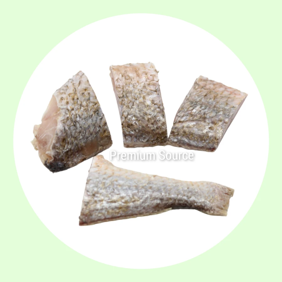 Frozen Croaker Fish | Premium Source