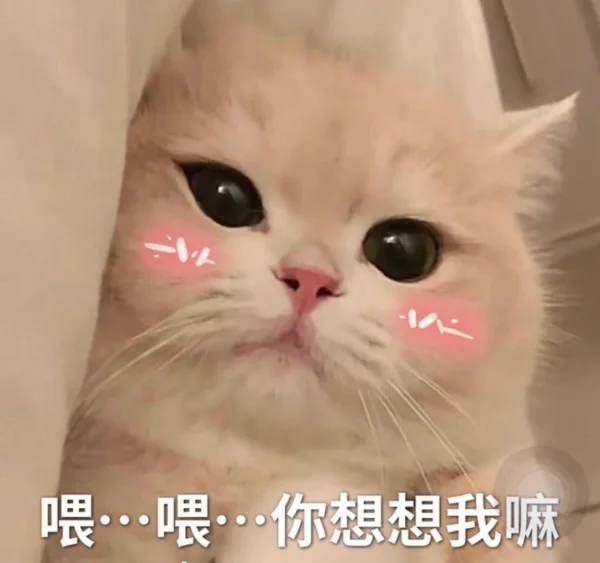 库存 | 小米辣全系列