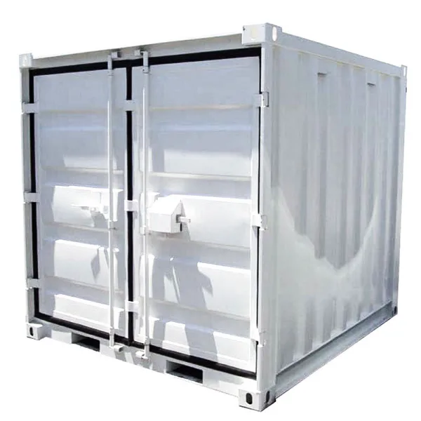 CONTAINER DE STOCKAGE NEUF 8 PIEDS | Cac Containers