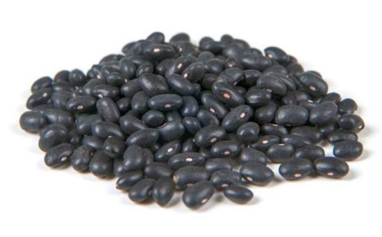 Haricot noir فاصوليا سوداء | DARLWARD