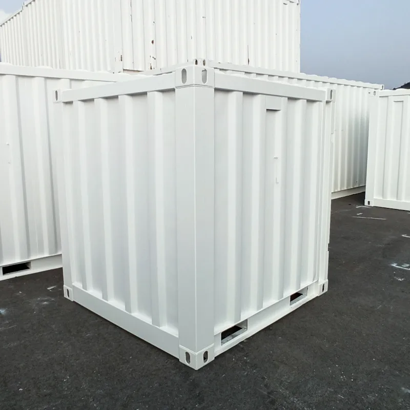 CONTAINER DE STOCKAGE NEUF 6 PIEDS | Cac Containers