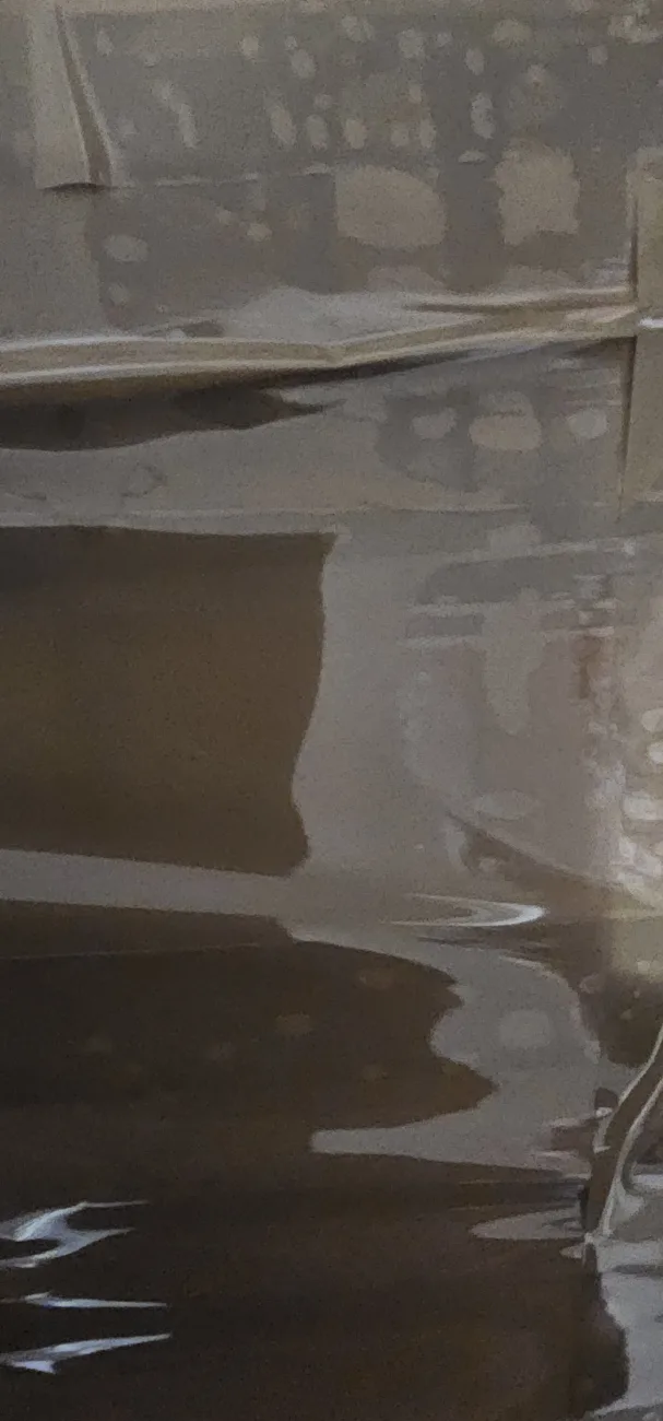 Frais de port la vera Sara | Dresses of my World