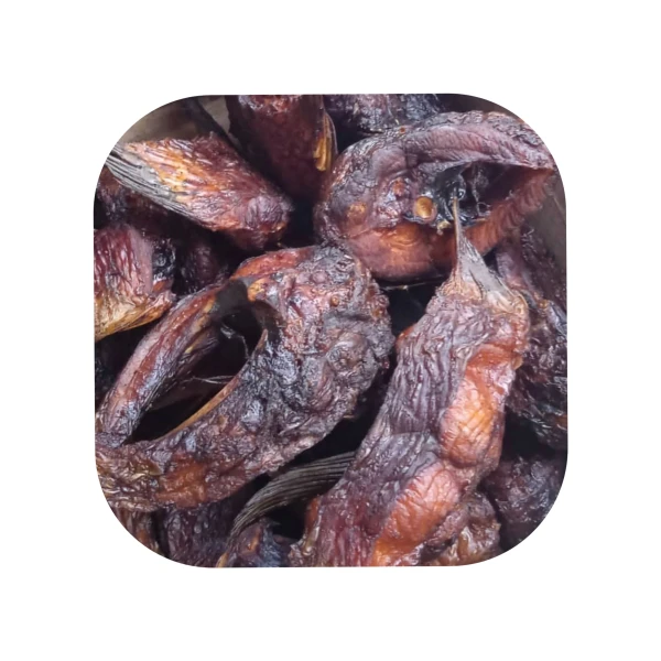 Dried Mangala Fish | Premium Source