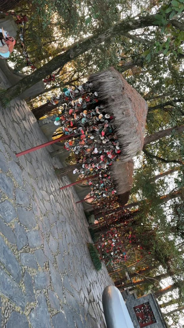 商品ppp | 小米辣全系列