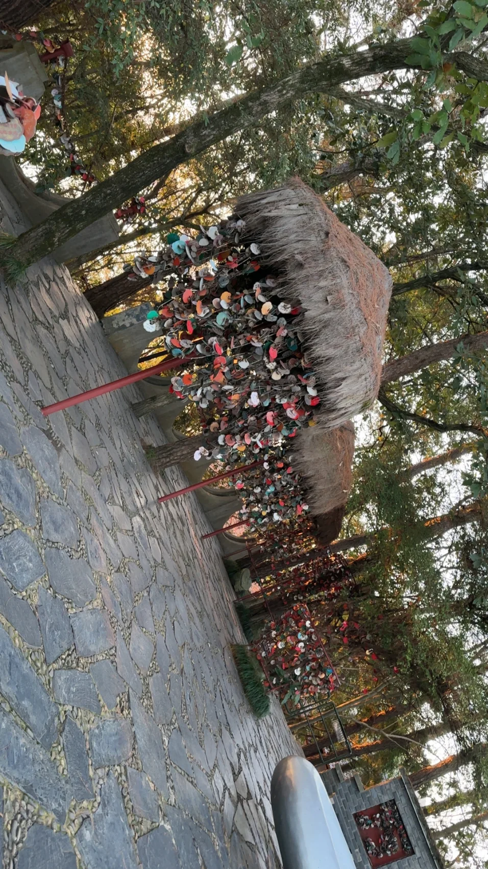 商品ppp | 小米辣全系列