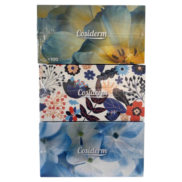 Lot de 3 boite de mouchoirs  | Miniprix