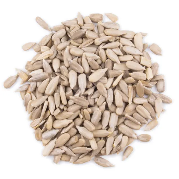 Graines de tournesole bio ( non traité) زريعة عباد الشمس بيو | DARLWARD