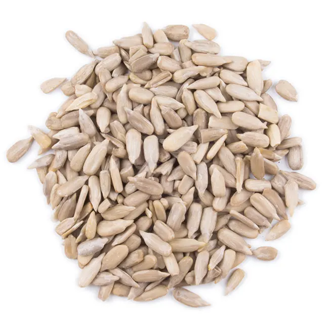 Graines de tournesole bio ( non traité) زريعة عباد الشمس بيو | DARLWARD