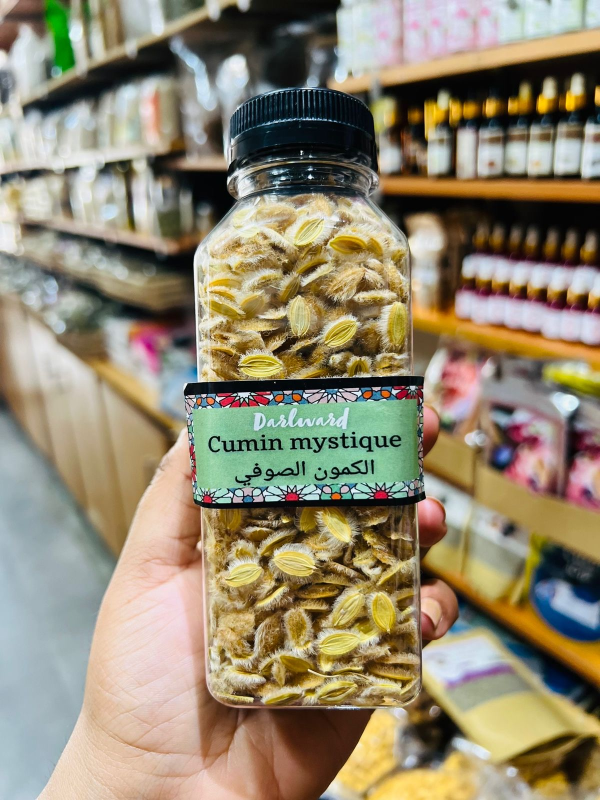 Cumin mystique trié (cumin sophi) كامون صوفي منقي | DARLWARD
