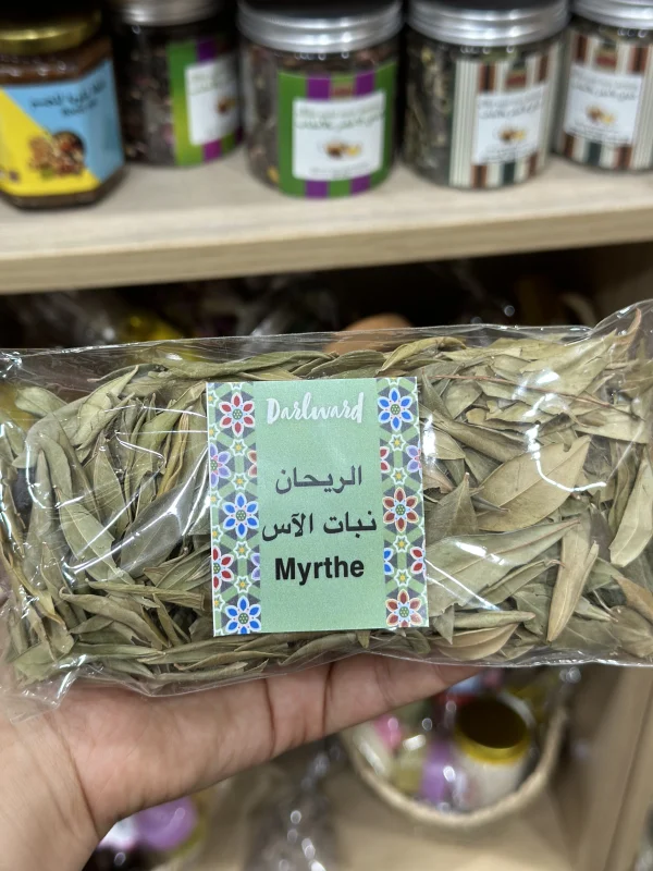 Basilic mystique (rihan) ريحان | DARLWARD