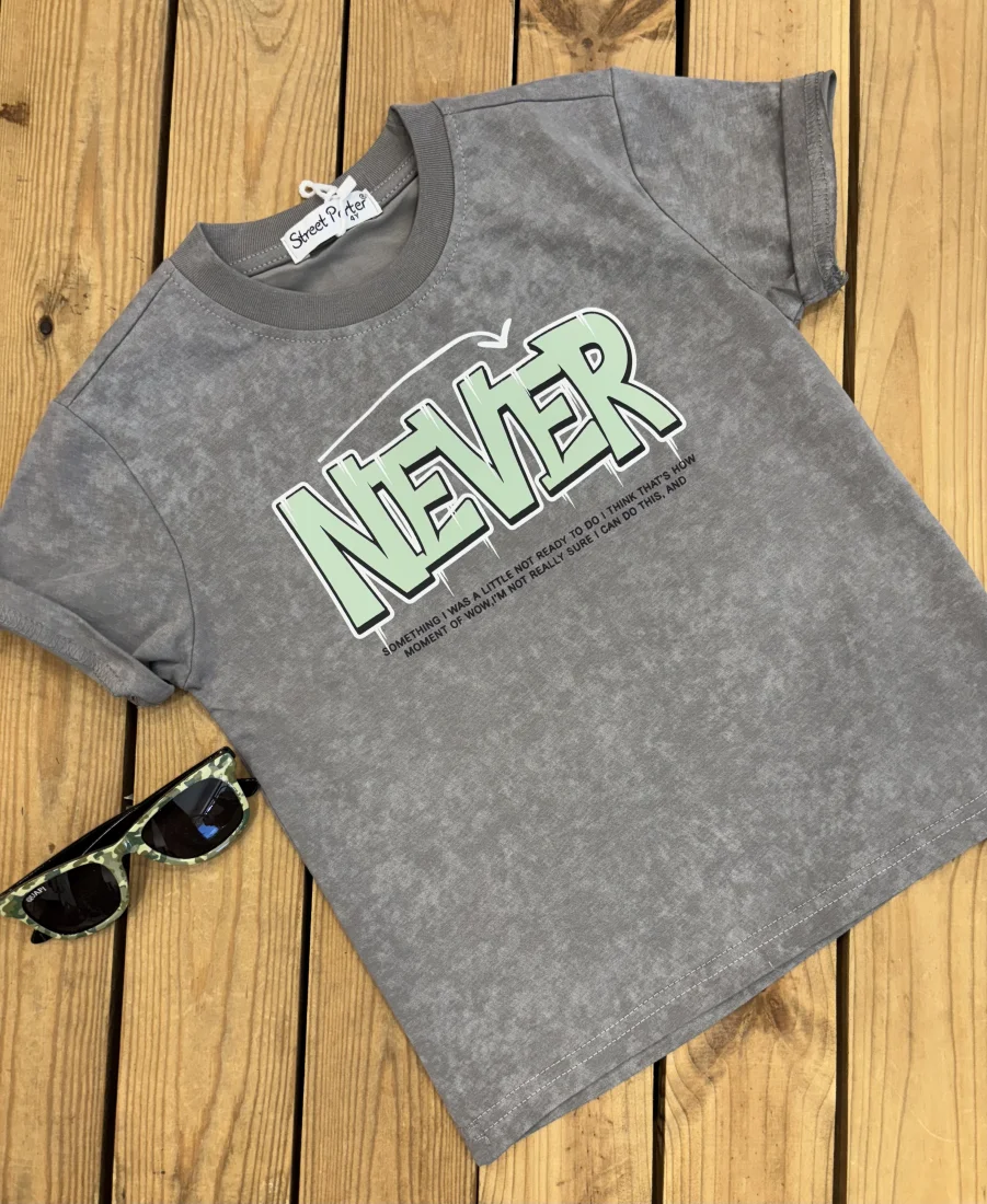 Tee shirt gris délavé Never  | Lena in Love 