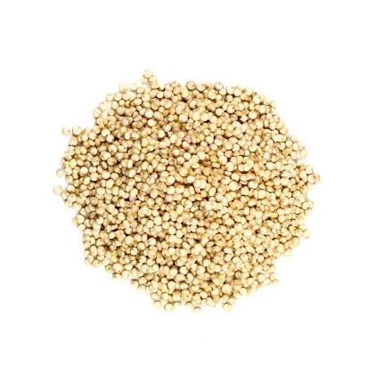 Quinoa blanc كينوا بيضاء | DARLWARD