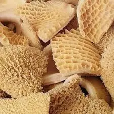 Beef Tripe (Shaki) | Premium Source