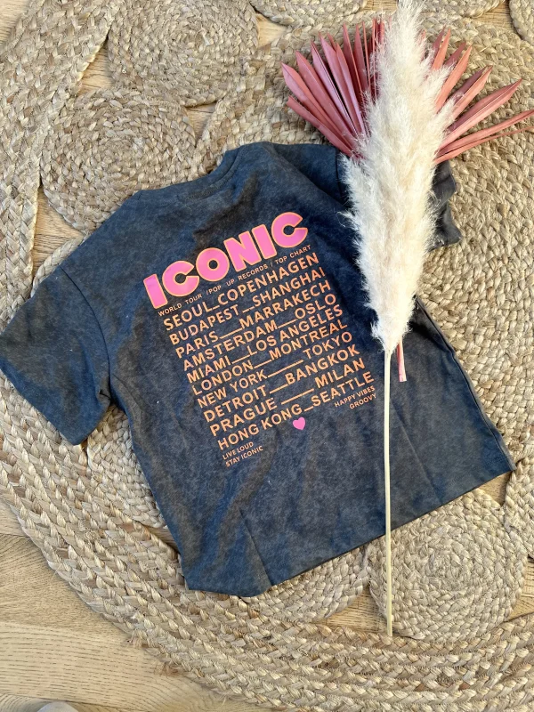 Tee shirt gris iconic  | Lena in Love 