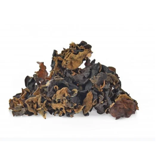 Champignon noir الفطر الأسود | DARLWARD