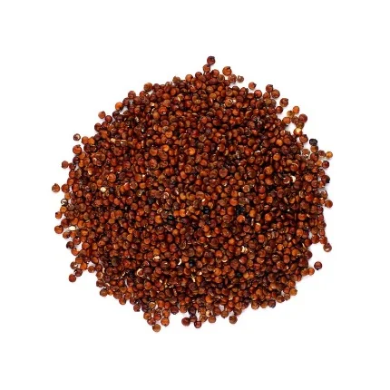 Quinoa rouge الكينوا الحمراء | DARLWARD