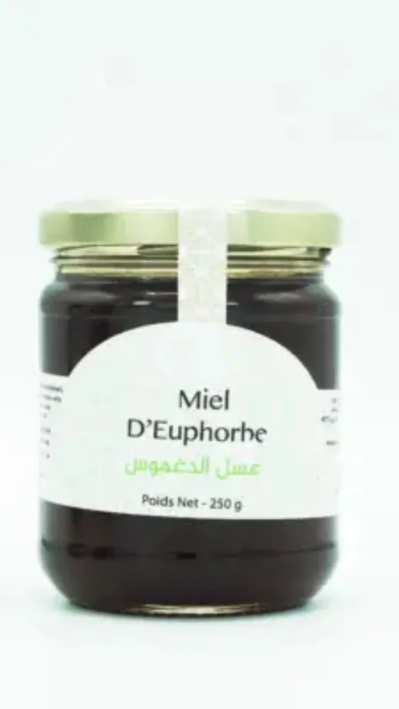 Miel d’Euphorbe عسل الدغموس | DARLWARD
