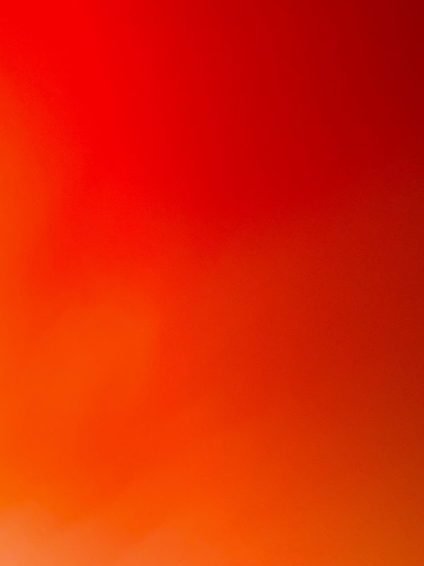 Pantalon  | Astra boutique 