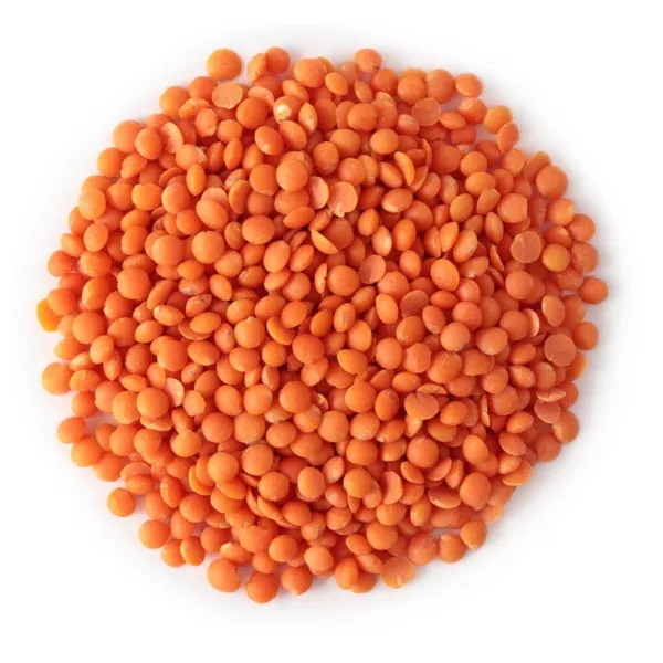 Lentilles corailles organiques عدس برتقالي  | DARLWARD