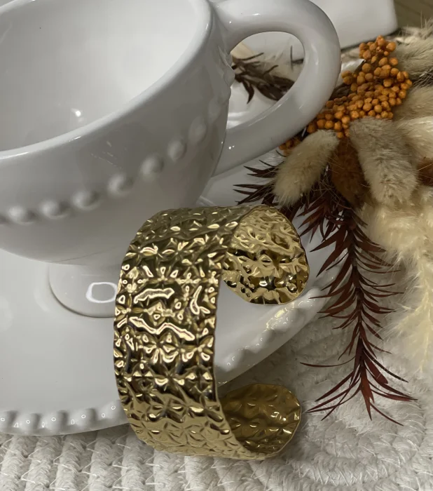 Bracelets rigide vany acier inoxydable  | WOMANITY FWI